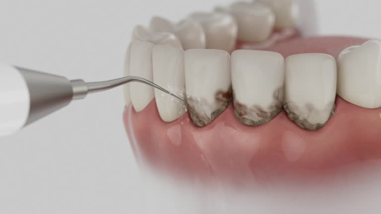 Reliable Dental contractor in Swarthmore, PA by Dentist Open Now
